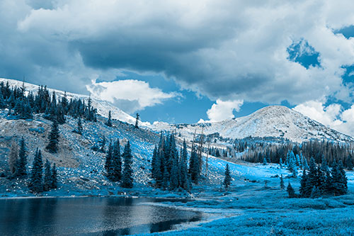 Scattered Trees Along Mountainside (Blue Tone Photo)