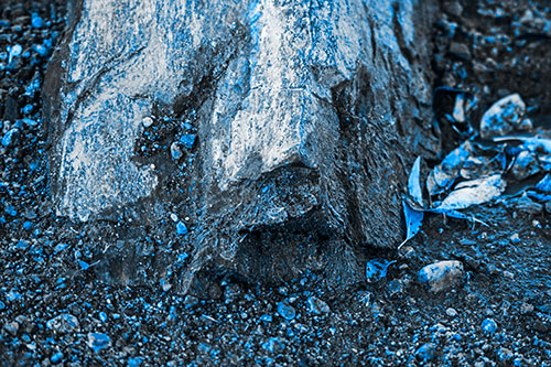 Slime Covered Rock Face Resting Along Shoreline (Blue Tone Photo)