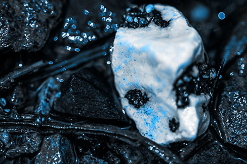 Slimy Extraterrestrial Alien Faced Rock Head (Blue Tone Photo)