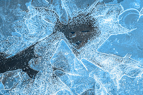 Smug Ice Face Among Frozen River Water (Blue Tone Photo)