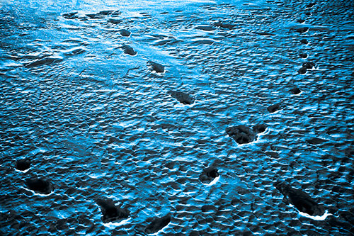 Snow Footprint Trails Crossing Paths (Blue Tone Photo)