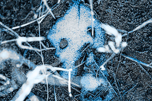 Snow Soil Face Screaming Among Sunlight (Blue Tone Photo)