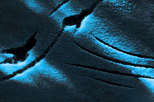 Snowy Bird Footprint Claw Marks (Blue Tone Photo)