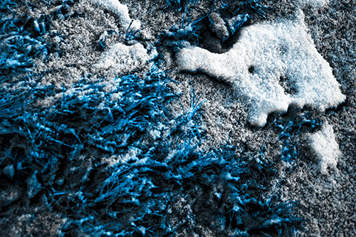 Snowy Grass Forming Demonic Horned Creature (Blue Tone Photo)