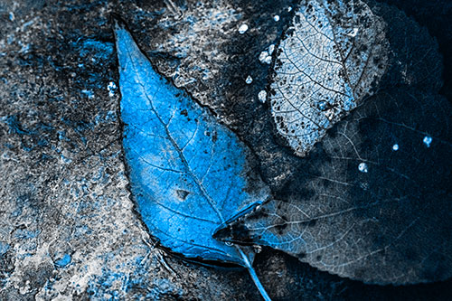 Soggy Cannibal Leaf Face Chewing Another Leaf (Blue Tone)
