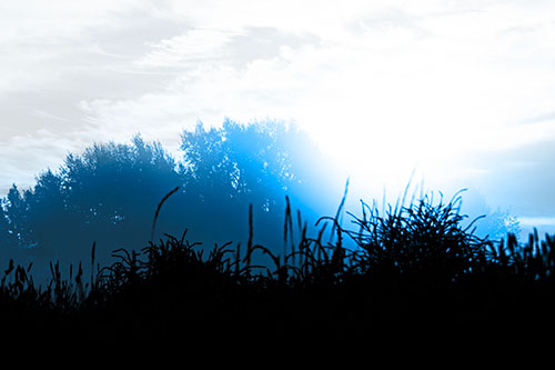 Sun Rises Beyond Fog Filled Treeline (Blue Tone Photo)