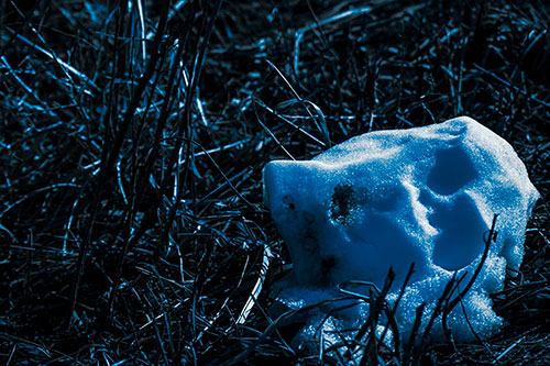 Sunlight Melting Dead Snow Face Head (Blue Tone Photo)
