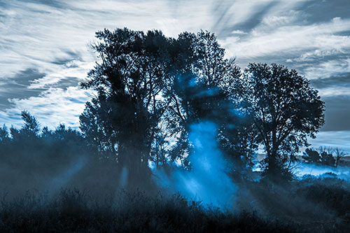Sunlight Rays Burst Through Fog Surrounded Trees (Blue Tone Photo)