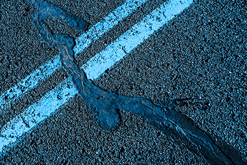 Tar Creeping Over Sidewalk Pavement Lane Marks (Blue Tone Photo)