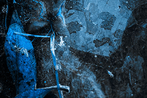 Terrified Ice Face Frozen Beside Leaf (Blue Tone Photo)