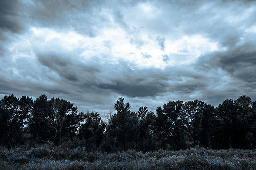 Thunderstorm Clouds Brewing Above Tree Line (Blue Tone)