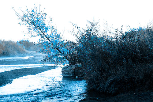 Tilted Fall Tree Over Flowing River (Blue Tone Photo)