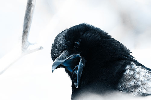 Tongue Screaming Crow Among Light (Blue Tone)