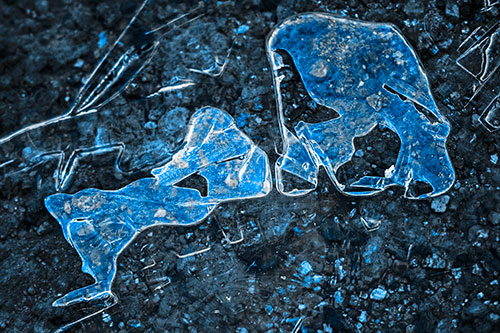 Translucent Frozen Big Eyed Alien Ice Bubble Figure Atop River (Blue Tone Photo)