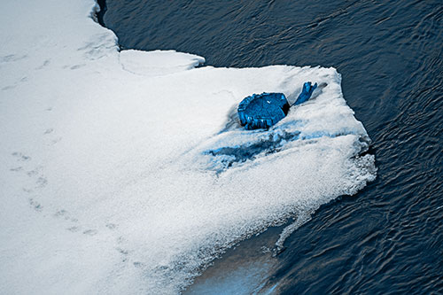 Tree Stump Eyed Snow Face Creature Along River Shoreline (Blue Tone Photo)