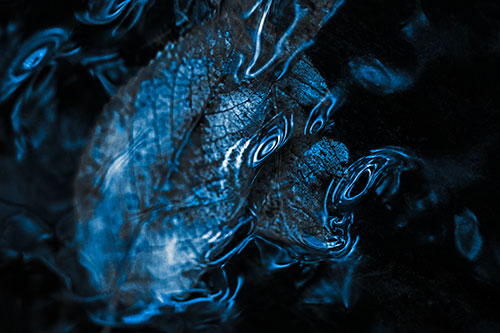 Water Ripple Faced Leaf In Submerged Trance (Blue Tone)