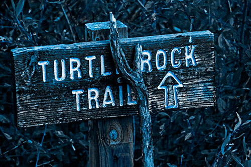 Wooden Turtle Rock Trail Sign (Blue Tone Photo)