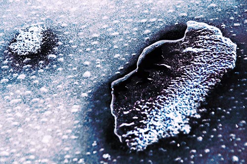 Bubble Head Face Peeking Through Ice