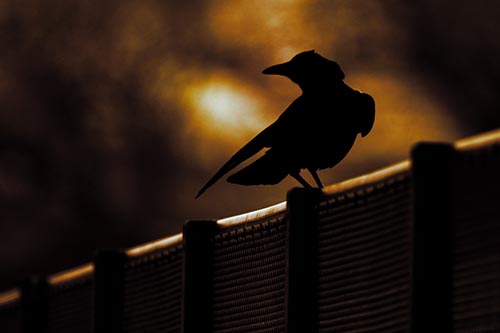 Crow Silhouette Atop Guardrail