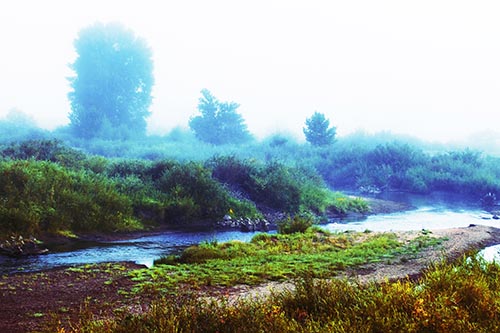 River Flowing Along Foggy Vegetation