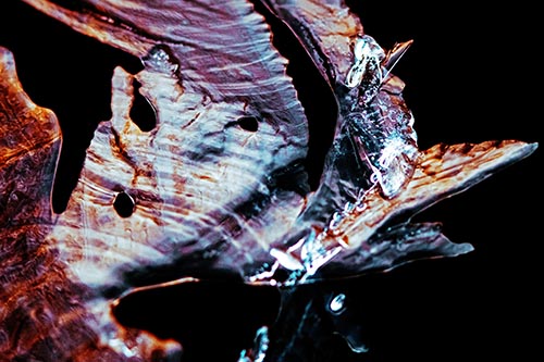 Shocked Jagged Curving Ice Face