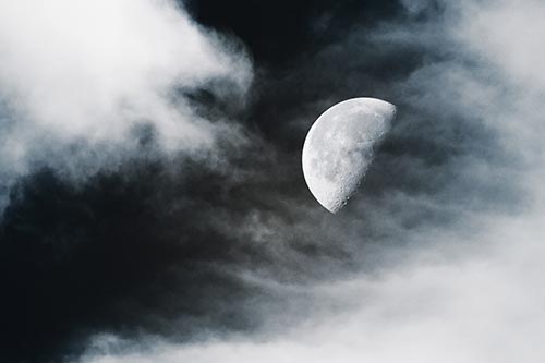 Upside Down Creature Cloud Moon Gazing