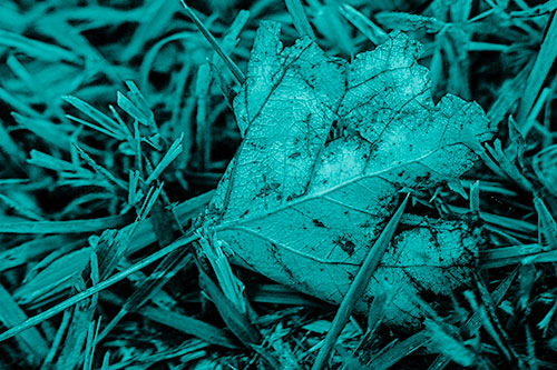 Agony Decaying Leaf Face Suffering Among Grass Blades (Cyan Shade)