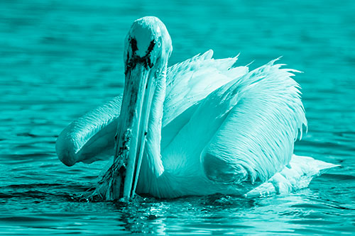 Algae Beaked Pelican Fishes For Salamanders (Cyan Shade)