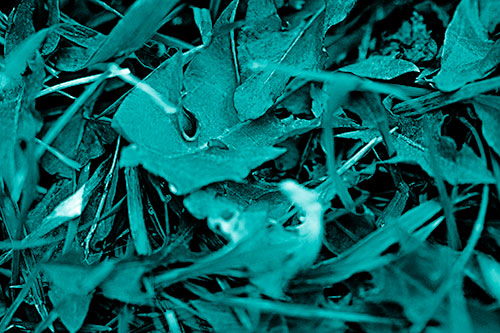 Angry Rotting Triangular Leaf Face (Cyan Shade)