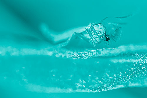 Arm Raising Midge Fly Standing Among Leaf (Cyan Shade)
