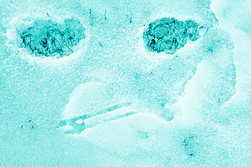 Beak Mouthed Footprint Face Among Snow (Cyan Shade)