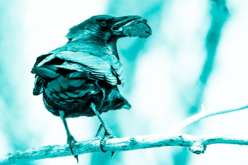 Brownie Crow Perched On Tree Branch (Cyan Shade)