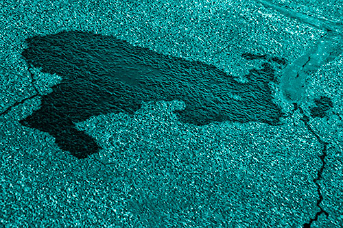 Bunny Rabbit Pavement Puddle Figure Formation (Cyan Shade)