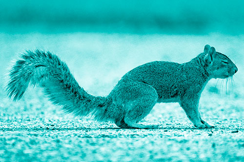 Closed Eyed Squirrel Meditating (Cyan Shade Photo)