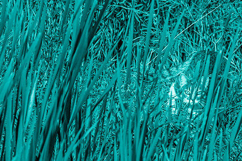 Crouching Cat Hunting Among Tall Reed Grass (Cyan Shade)