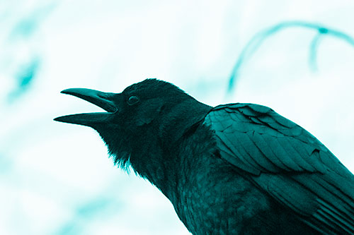 Crow Cawing Into Fog Filled Sky (Cyan Shade Photo)