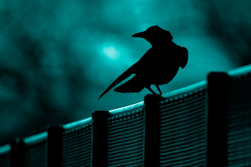 Crow Silhouette Atop Guardrail (Cyan Shade Photo)