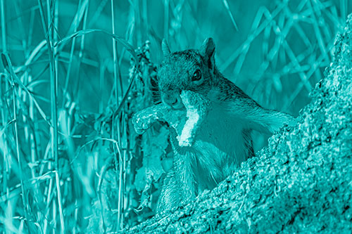 Curious Pizza Crust Squirrel (Cyan Shade)