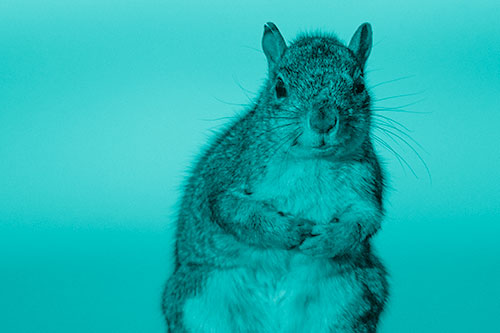 Curiously Leaning Squirrel Watches Ahead (Cyan Shade Photo)