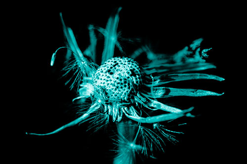 Decaying Seed Toothed Dandelion Creature (Cyan Shade)
