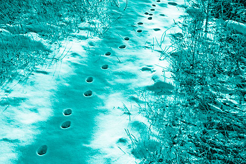 Deep Snow Animal Footprint Markings (Cyan Shade)