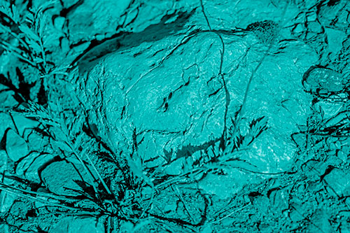 Demonic Leaf Mouthed Rock Face Snarling Among Dirt (Cyan Shade)