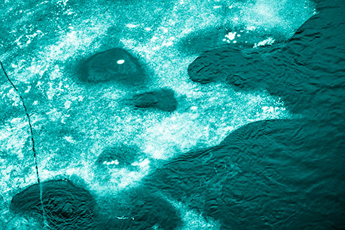 Disintegrating Ice Face Melting Among Flowing River Water (Cyan Shade Photo)