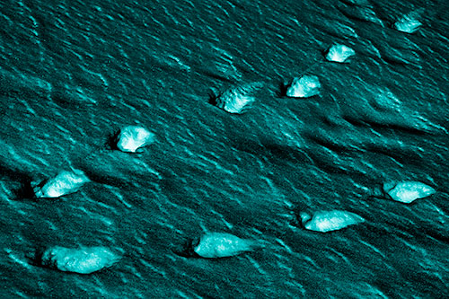 Distancing Snow Footprints (Cyan Shade)