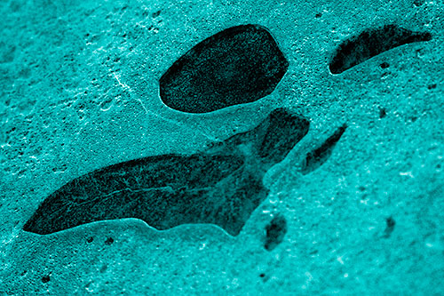 Distorted Skull Face Within Frozen Ice (Cyan Shade Photo)