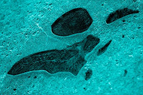 Distorted Skull Face Within Frozen Ice (Cyan Shade)