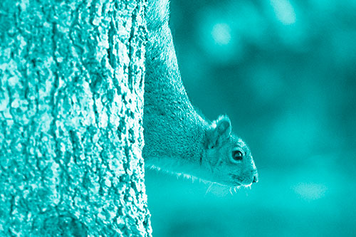 Downward Squirrel Yoga Tree Trunk (Cyan Shade Photo)