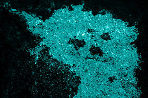 Dry Smirking Moss Face Among Damp Rock Surface (Cyan Shade)