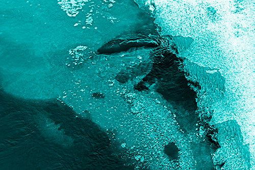 Floating River Ice Face Formation (Cyan Shade Photo)