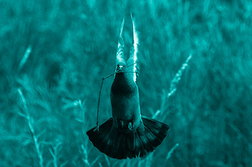 Flying Pigeon Carries Stick In Mouth (Cyan Shade)